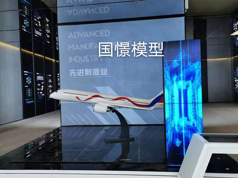 齐河县飞机模型
