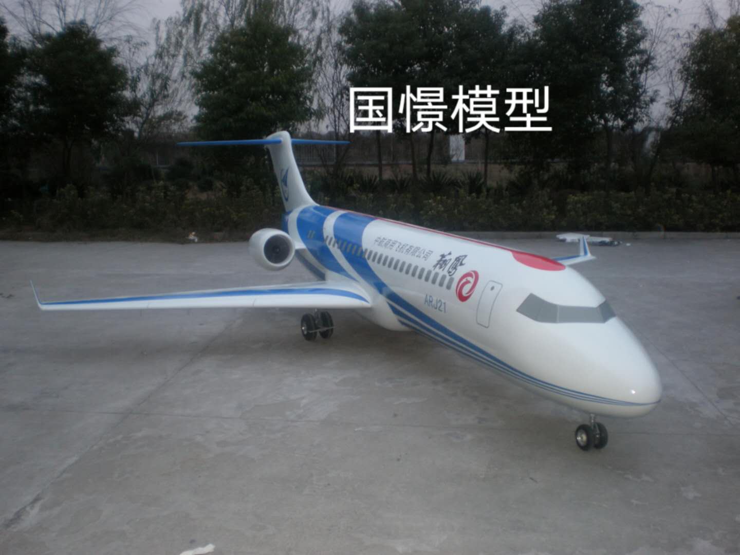 齐河县飞机模型