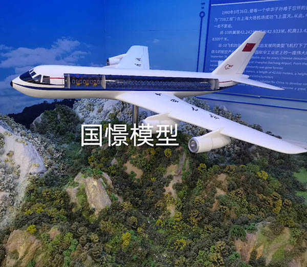 齐河县飞机模型
