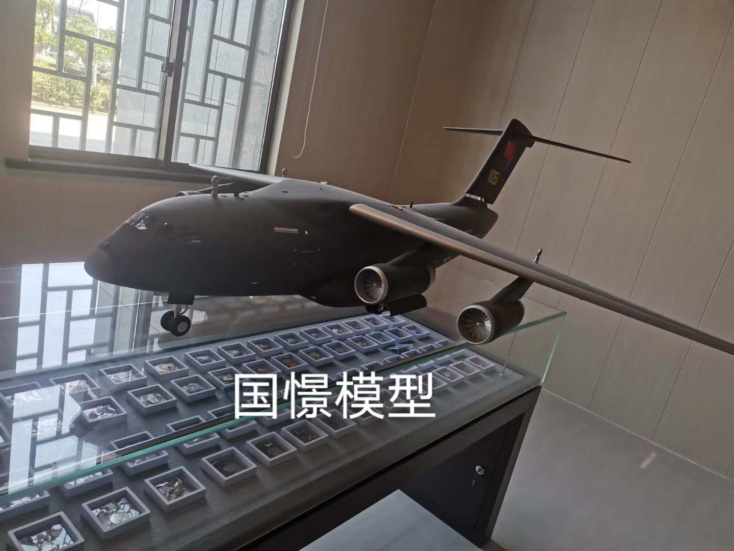 齐河县飞机模型