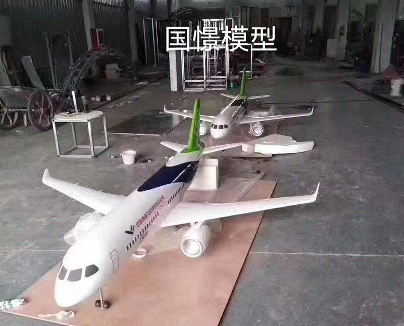 齐河县飞机模型