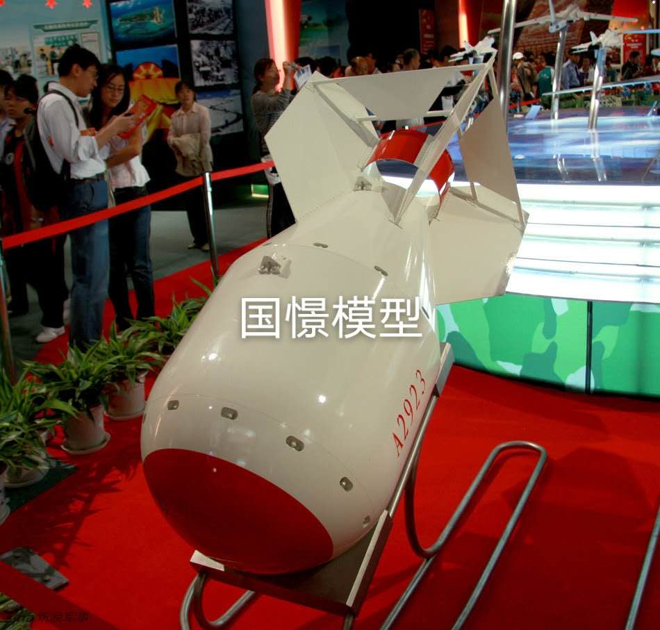 齐河县军事模型