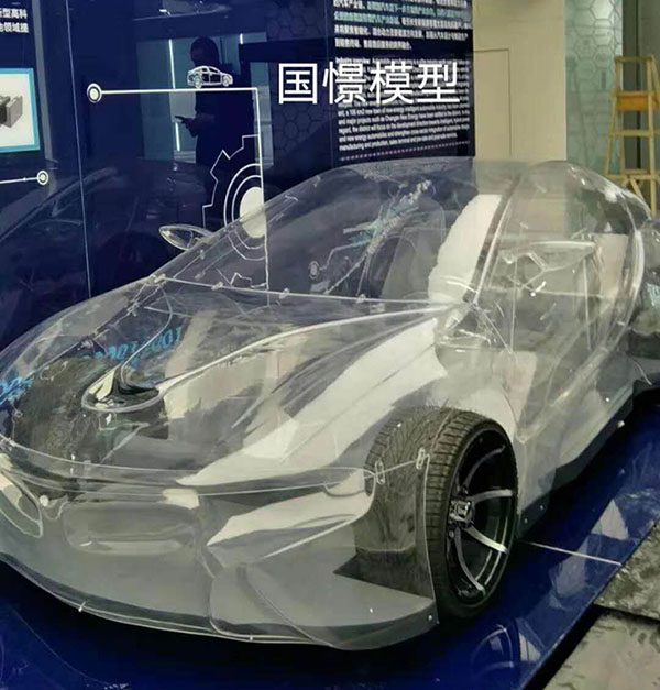 齐河县透明车模型