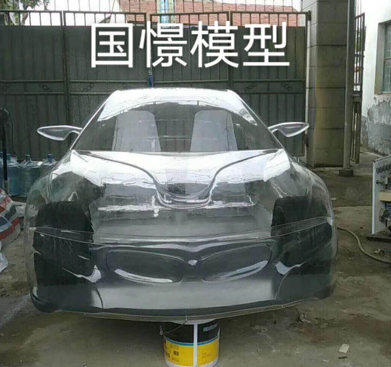 齐河县透明车模型