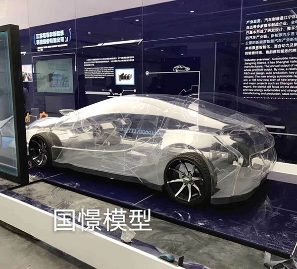 齐河县透明车模型
