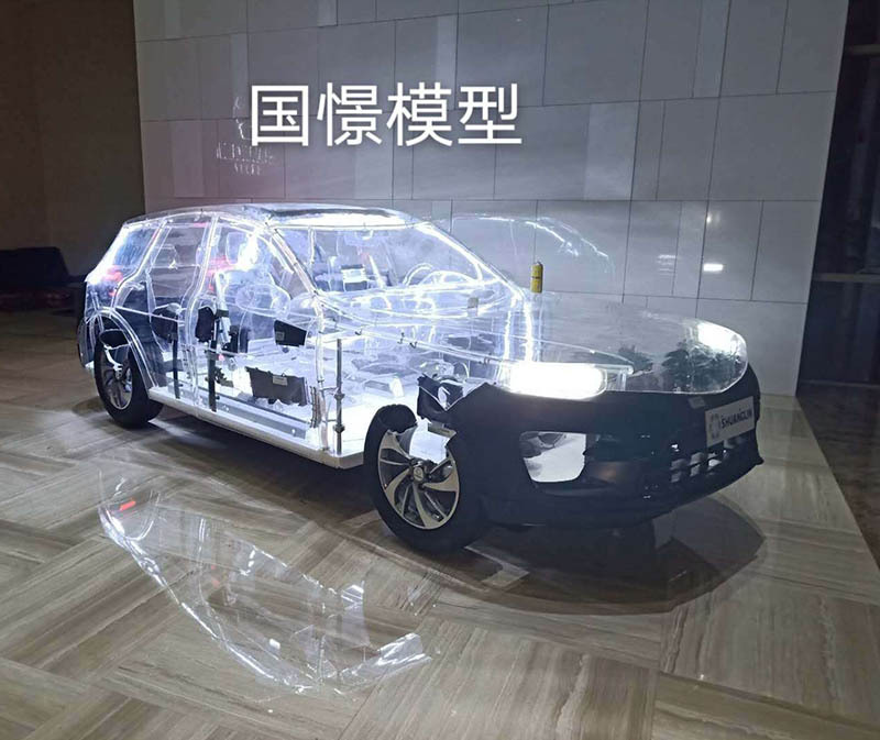 齐河县透明车模型