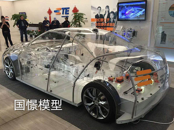 齐河县透明车模型
